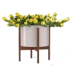  Standing Flower Sukses icon8